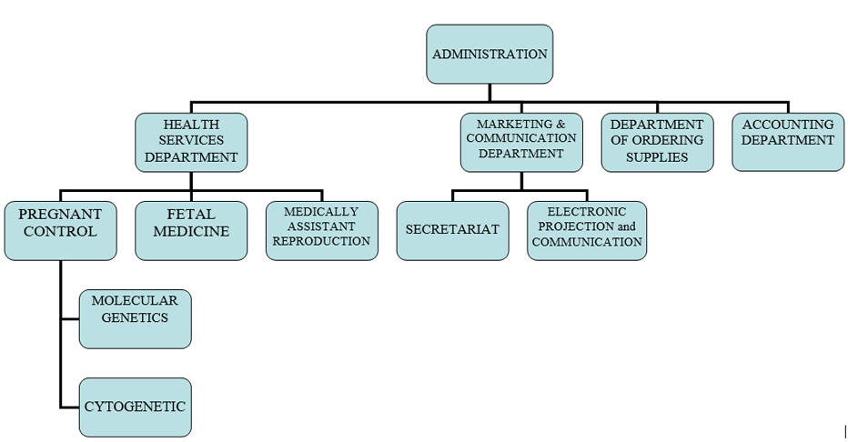 organogramma en